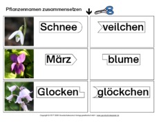 Pflanzennamen-zusammensetzen.pdf
